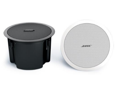 BOSE FreeSpace DS100F