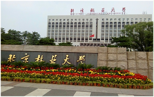 北京林业大学